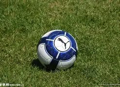 英格兰足总,杯第三轮对,决出炉,B体育登录入口,B体育平台,B体育注册网址,B体育app,B体育官网,B体育网站,B体育网页版