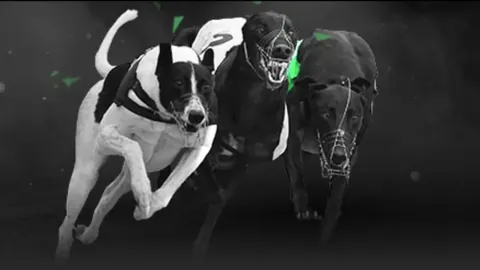 丁俊晖在世界大奖赛中惜败徐某